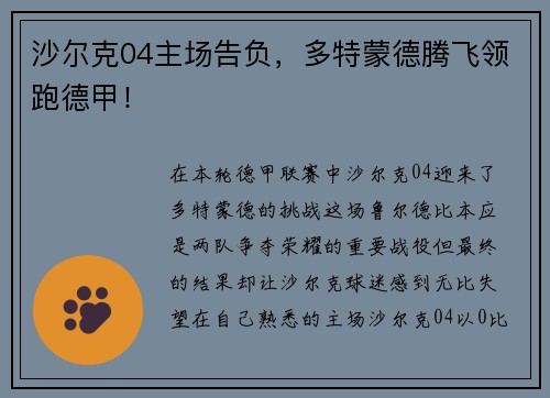 沙尔克04主场告负，多特蒙德腾飞领跑德甲！